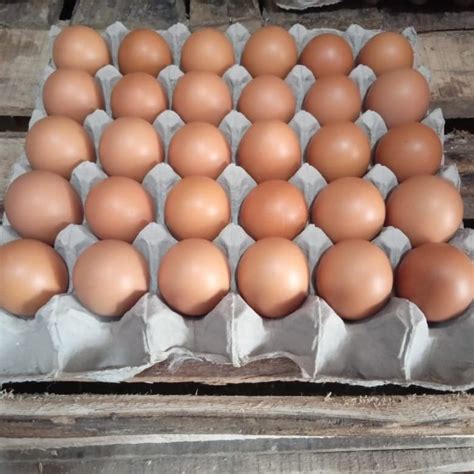 Jual Telur Ayam Telor Ayam Negeri 30 Btr 1 Papan 188 Kg