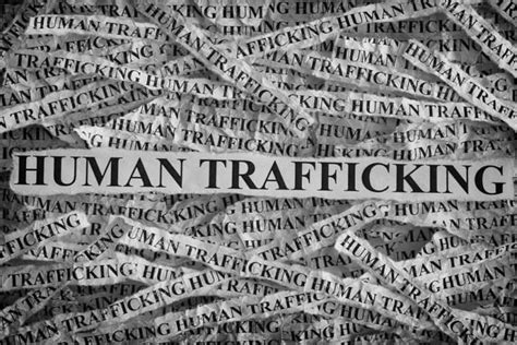 Guelph Human Trafficking Investigation Arrest Guelph Events And Information
