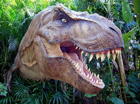 T Rex Dinosaur Photo Taken At Universal Studios Jurassic Flickr