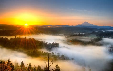 Morning Mist Glowing Sunrise Wallpapers Wallpaper Cave