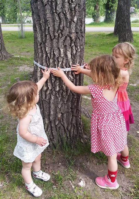 Outdoor Play For Kids 3 Tree Themed Activities