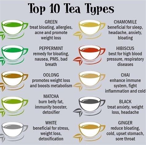 0 Result Images Of Top 10 Types Of Tea Png Image Collection