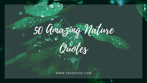 50 Amazing Nature Quotes - Inspirational Nature Quotes — travelesp.com
