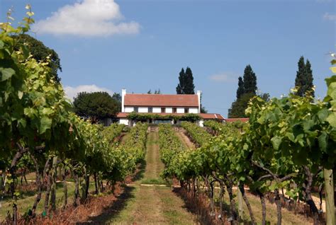 The new england wine region is one of the the latest regions to be officially recognised by the australian geographic indicators scheme. Wineries in England | A Guide to English Wine & Local ...