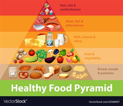 Healthy Food Pyramid Chart Royalty Free Vector Image
