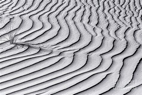 Desert Curves Pyrography By Manish Raval Fine Art America