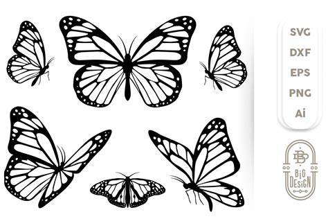 Butterfly Svg Bundle - 5 Monarch Butterflies Svg Cut Files (238384