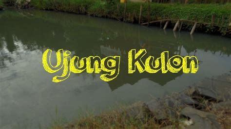 Tentu, hal tersebut menjadi ajang pembelajaran mulai. Sekolah Alam Indonesia Studio Alam Depok - Nusagates