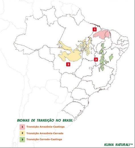 Biomas De TransiÇÃo No Brasil Klima Naturali™