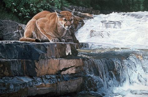 How big is a ron parker autumn raccoon? Summer Creek Painting by Ron Parker