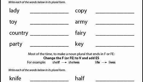 plural irregular nouns worksheets