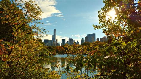 Free Images Tree Water Skyline Sunlight Morning