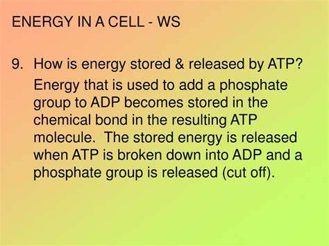 Ppt Energy In A Cell Powerpoint Presentation Free Download Id665125