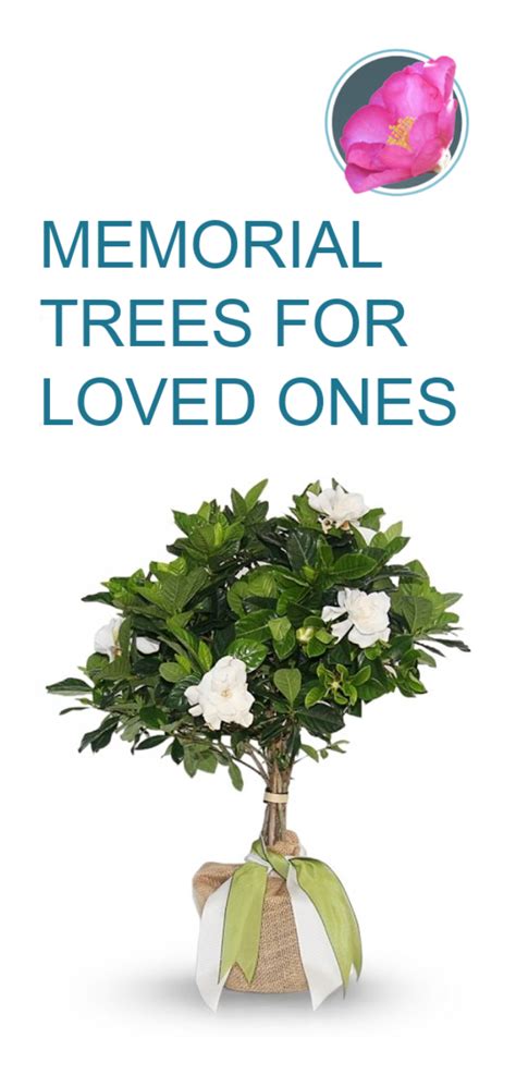 Best Ways To T Memorial Trees For Loved Ones Memory Tree Memorial