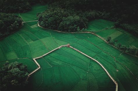 Aerial Photography Of Land Landscape Aerial View Farm Trees Hd