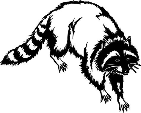 Black And White Raccoon Clipart 10 Free Cliparts Download Images On