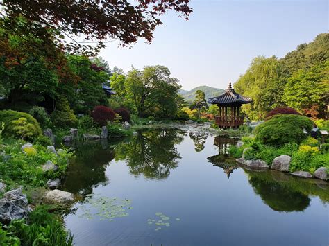 The Garden Of Morning Calm Southkoreapics