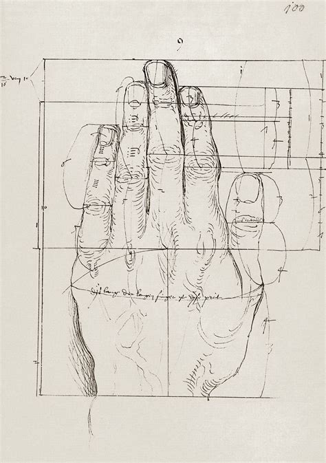 Albrecht Dürer Study Anatomical Proportions Estudo De Albrecht Dürer