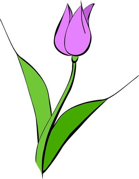 Purple Tulips Clipart 10 Free Cliparts Download Images On Clipground 2022