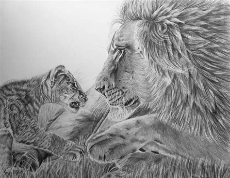 Lions Male Lion Cub Original Pencil Drawing Animal Art Etsy Uk