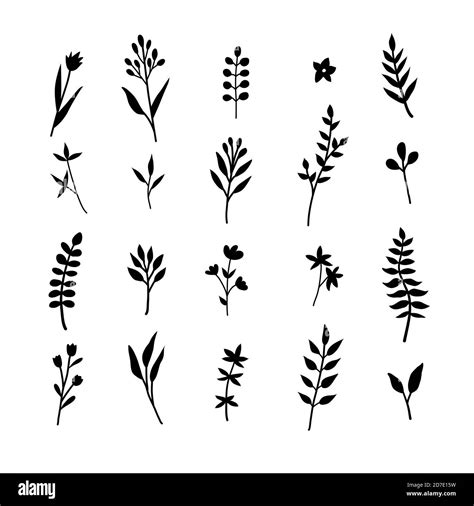 Set Of Hand Drawn Illustrations Of Green Leaves Herbs And Branches