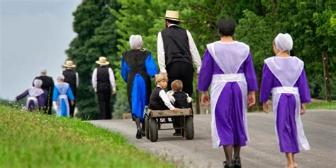 Pin On Amish