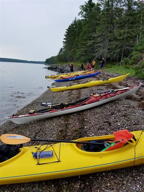 Hancock Point Kayak Tours And Schoodic Maine Guide Snowshoe Tours — The Crew Has Landed