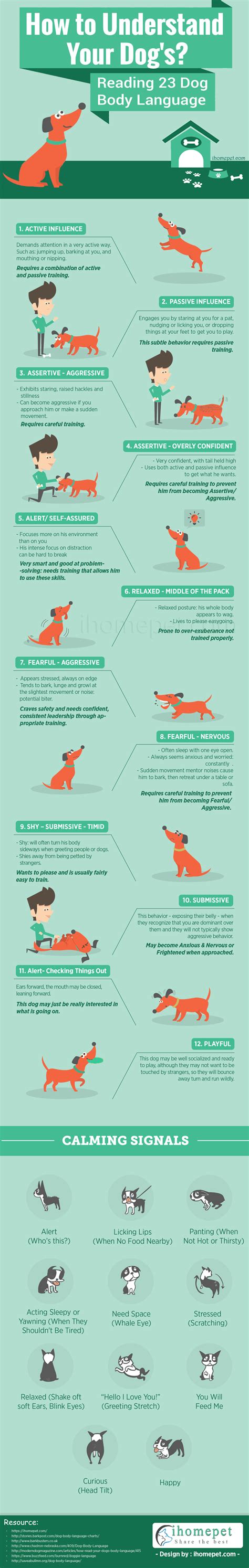 How To Understand Dog Body Language Infographic