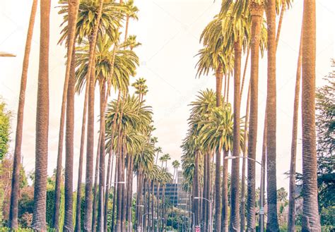 Palm Trees In Los Angeles — Stock Photo © Oneinchpunch 128063820