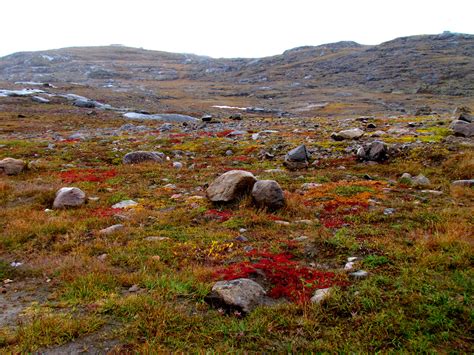 Filenunavut Tundra C Wikimedia Commons