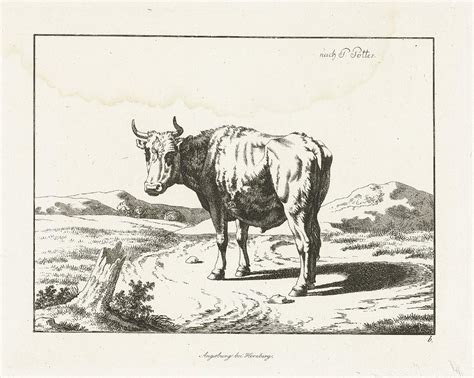 Bull Standing By A Tree Stump Marcus De Bye After Paulus Potter 1761 C