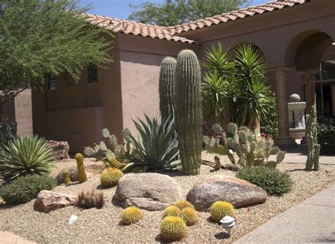 Front Yard Desert Landscaping Home And Apartment Ideas