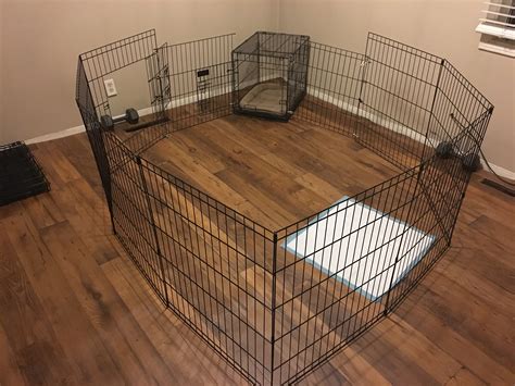 Does A Puppy Need A Playpen