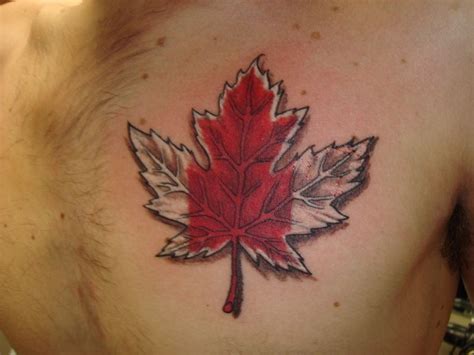 Tattoo004 With Images Maple Leaf Tattoo Maple Leaf Tattoos