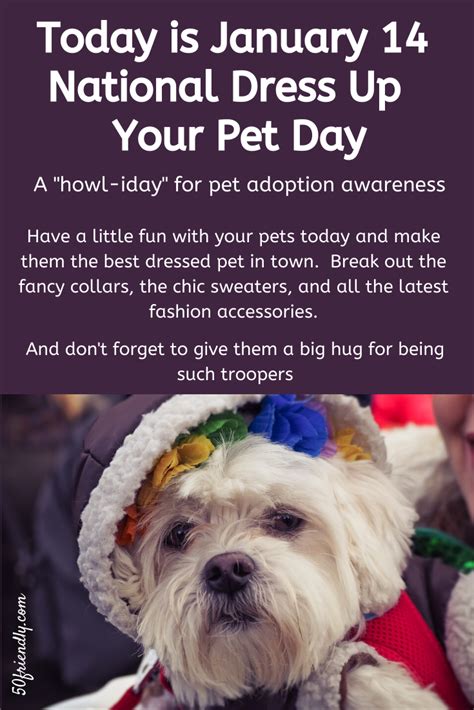 January 14 National Dress Up Your Pet Day Fancy Collar Chic Sweaters