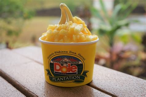 This simple homemade pineapple whip (like dole whip) has only 3 ingredients and is made in under 5 minutes. Dole Whip | Dole Pineapple Plantation! | Like_the_Grand ...