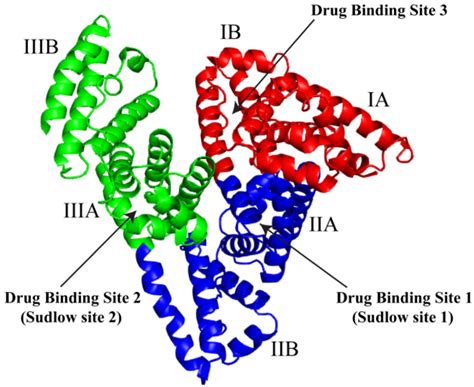 Ijms Free Full Text Structural And Biochemical Features Of Human