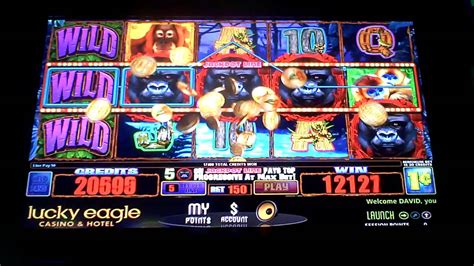 Gorilla Slot Machine Bonus Youtube