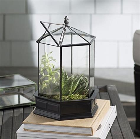 H Potter Glass Terrarium Succulent Planter Wardian Case Plant Container