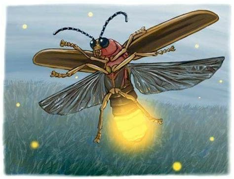 Fireflylightening Bug Firefly Drawing Fly Drawing Firefly