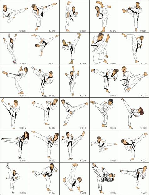 Almost Every Kick Martial Arts Techniques Karate Martial Arts