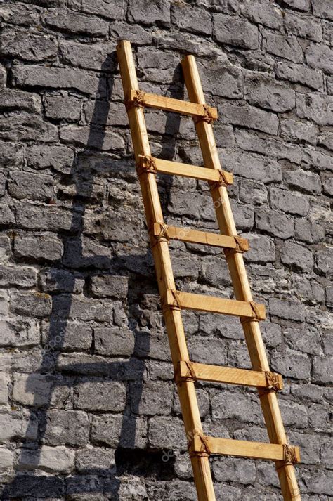Ladder Against A Brick Wall — Stock Photo © Scrabble 1684960