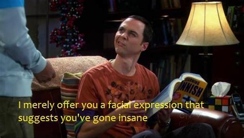 Sheldon Cooper You Re Insane Jim Parsons Photo Fanpop