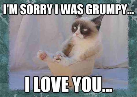 40 Adorable Im Sorry Memes People Wont Be Able To Resist Funny Grumpy Cat Memes Grumpy Cat