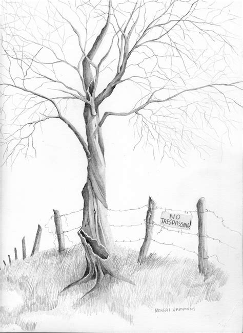 How To Draw Pencil Sketches Of Trees