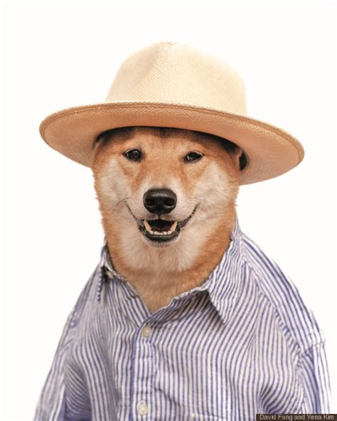 Your New Style Icon Menswear Dog On What To Wear To A