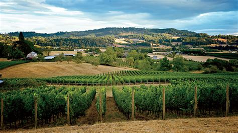 Where to Drink and Eat in the Willamette Valley | Food & Wine