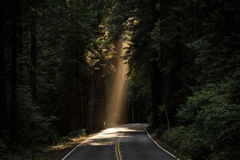 What is natural light in photography | The Best Tips and Tricks