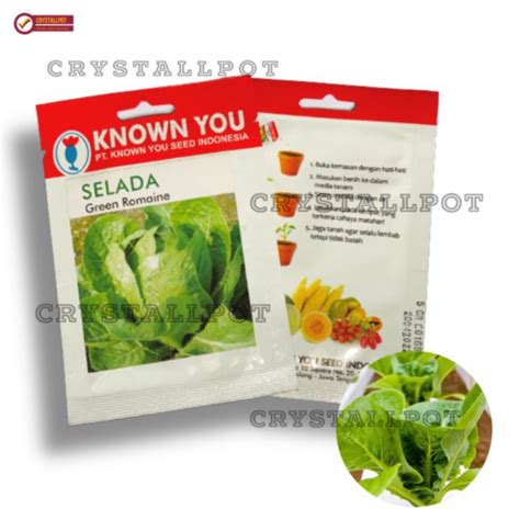 Jual Benih Bibit Selada Green Romaine Known You Seed Kys Green Romaine Shopee Indonesia