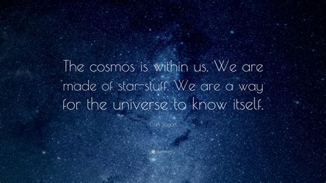 Carl Sagan Quote “the Cosmos Is Within Us We Are Made Of Star Stuff